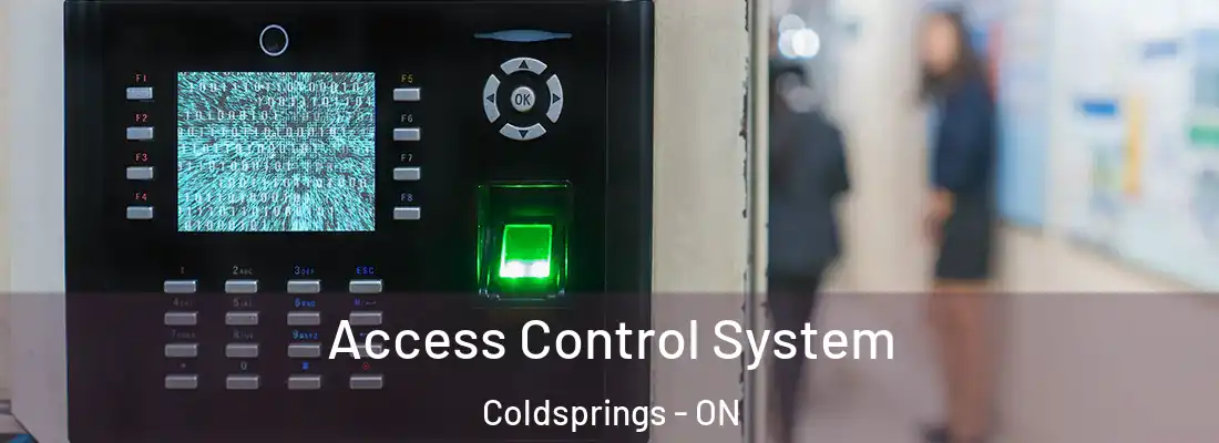  Access Control System Coldsprings - ON