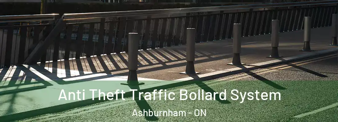  Anti Theft Traffic Bollard System Ashburnham - ON