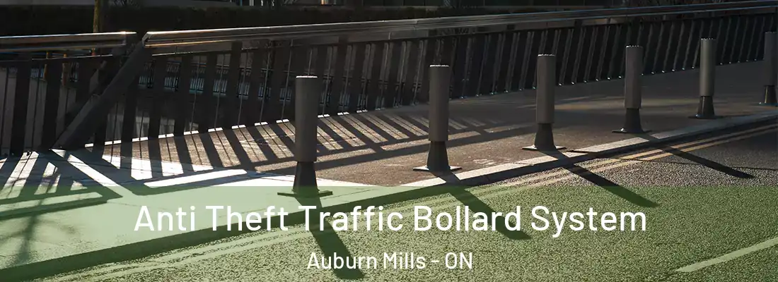  Anti Theft Traffic Bollard System Auburn Mills - ON