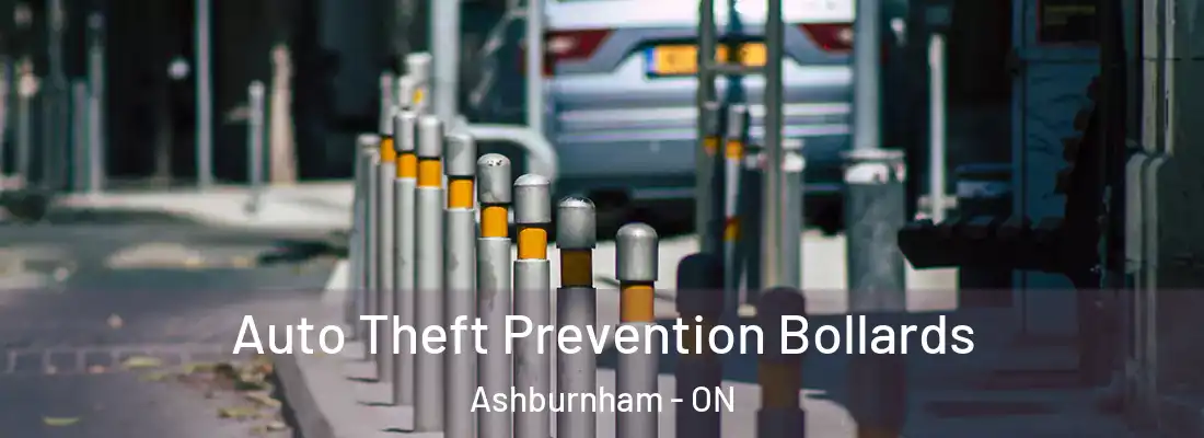  Auto Theft Prevention Bollards Ashburnham - ON