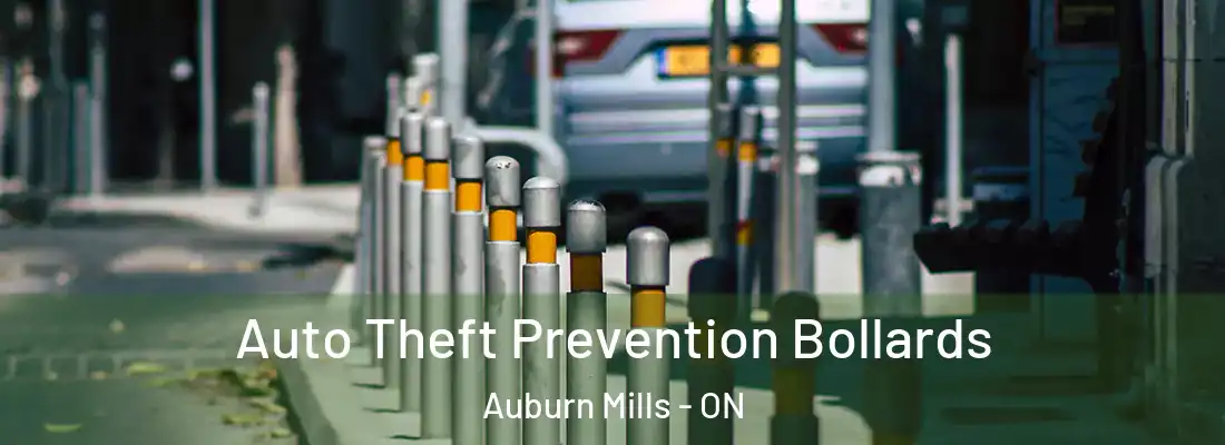  Auto Theft Prevention Bollards Auburn Mills - ON