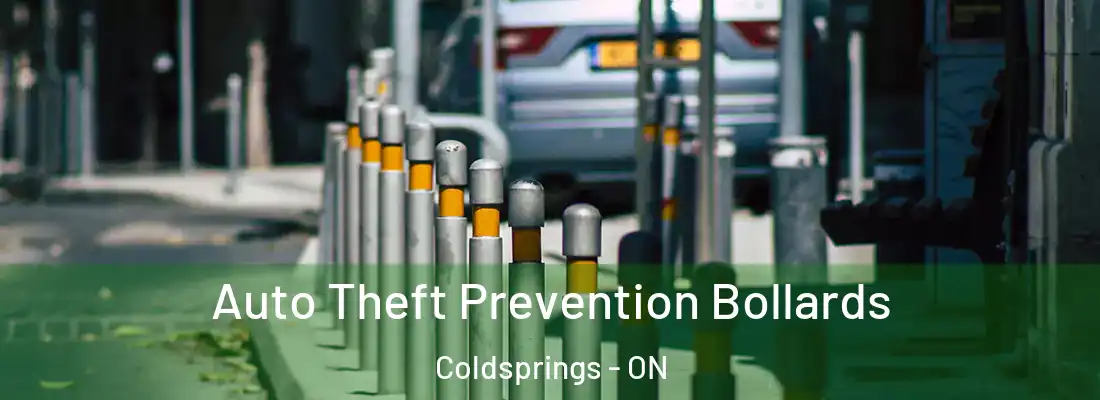  Auto Theft Prevention Bollards Coldsprings - ON