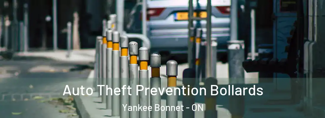  Auto Theft Prevention Bollards Yankee Bonnet - ON