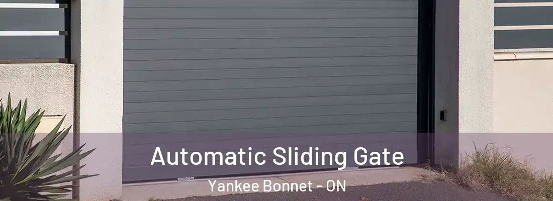  Automatic Sliding Gate Yankee Bonnet - ON