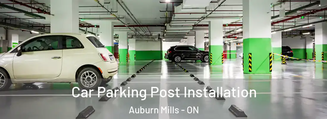  Car Parking Post Installation Auburn Mills - ON