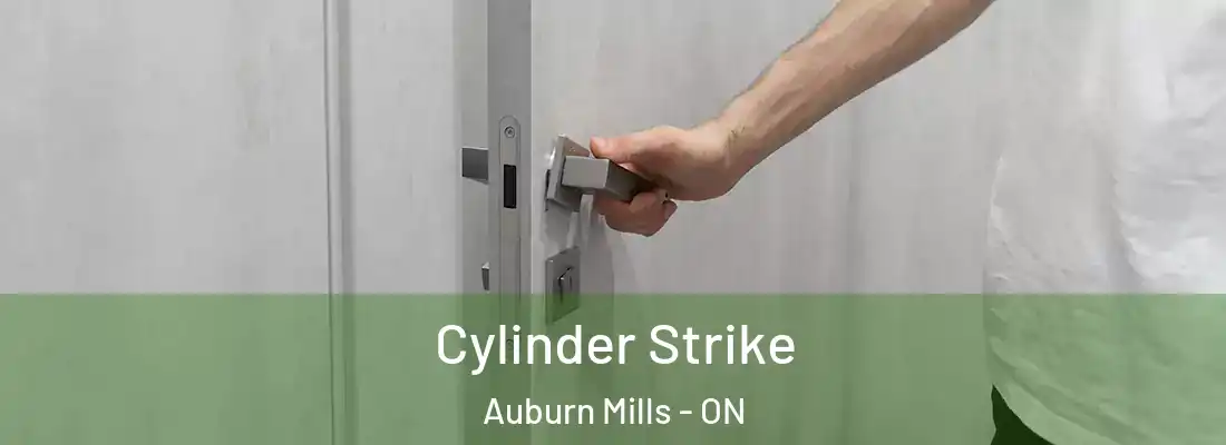  Cylinder Strike Auburn Mills - ON
