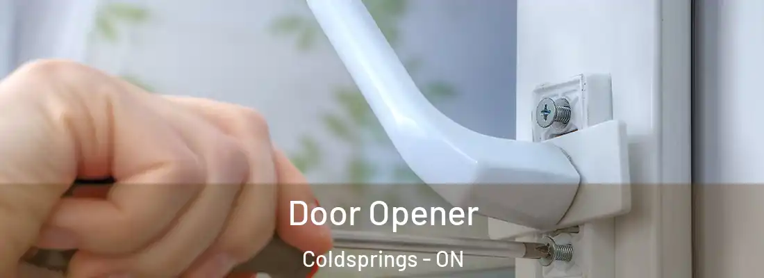  Door Opener Coldsprings - ON