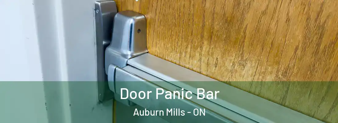  Door Panic Bar Auburn Mills - ON