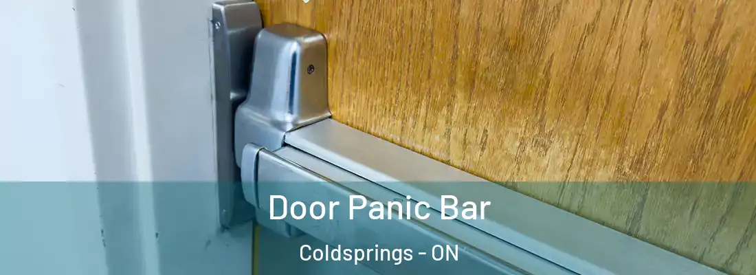  Door Panic Bar Coldsprings - ON