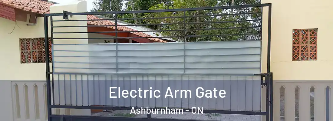  Electric Arm Gate Ashburnham - ON