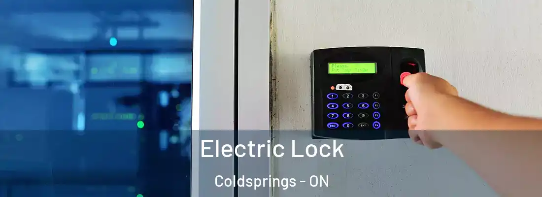  Electric Lock Coldsprings - ON
