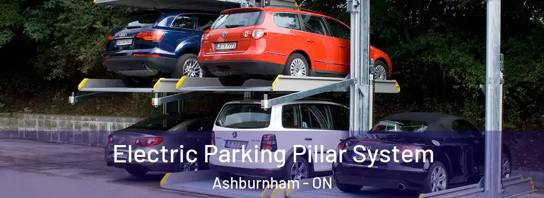  Electric Parking Pillar System Ashburnham - ON