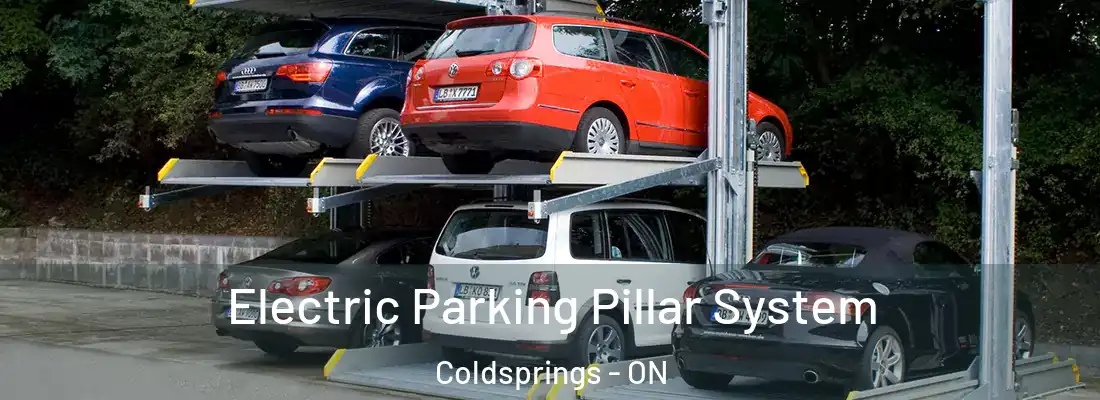  Electric Parking Pillar System Coldsprings - ON