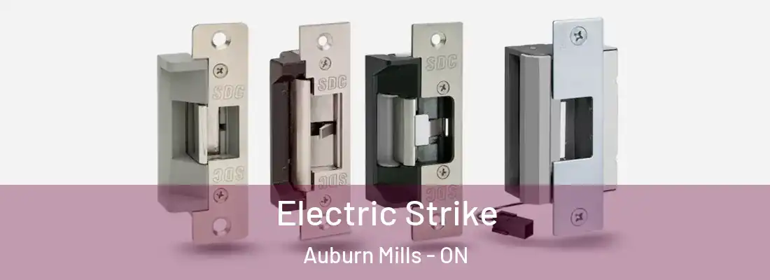  Electric Strike Auburn Mills - ON