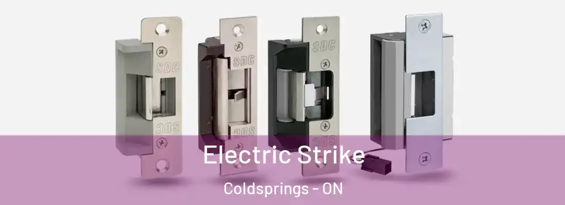  Electric Strike Coldsprings - ON