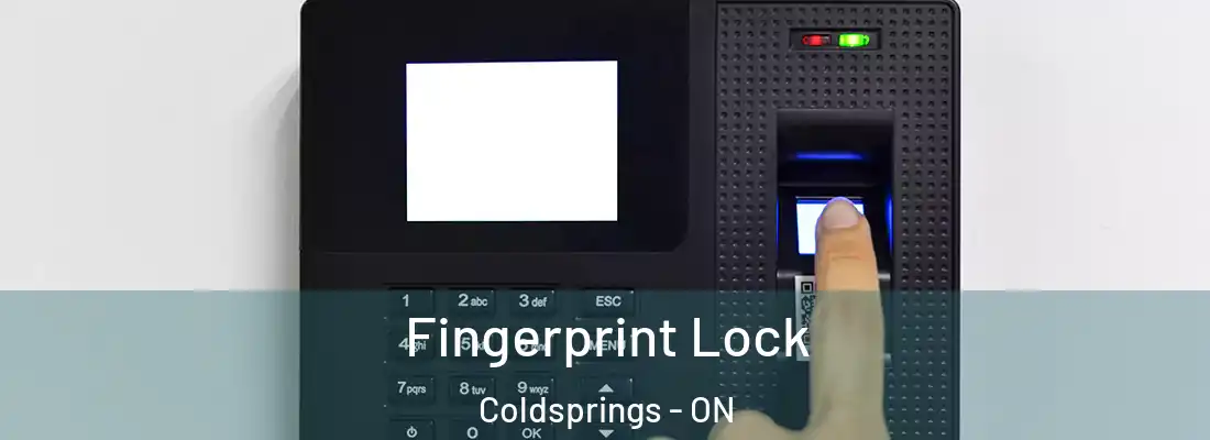  Fingerprint Lock Coldsprings - ON
