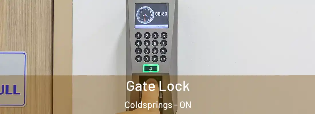  Gate Lock Coldsprings - ON