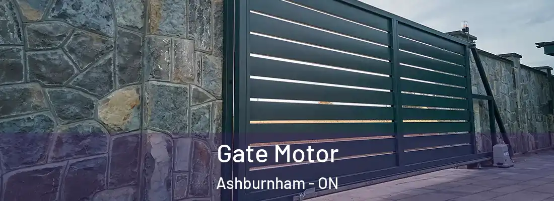  Gate Motor Ashburnham - ON