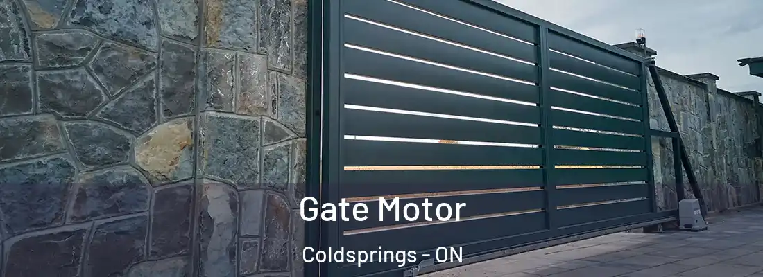  Gate Motor Coldsprings - ON