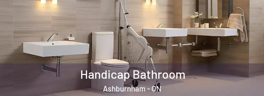  Handicap Bathroom Ashburnham - ON