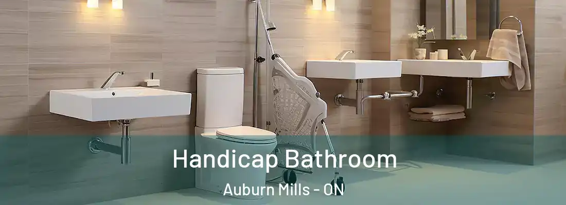  Handicap Bathroom Auburn Mills - ON