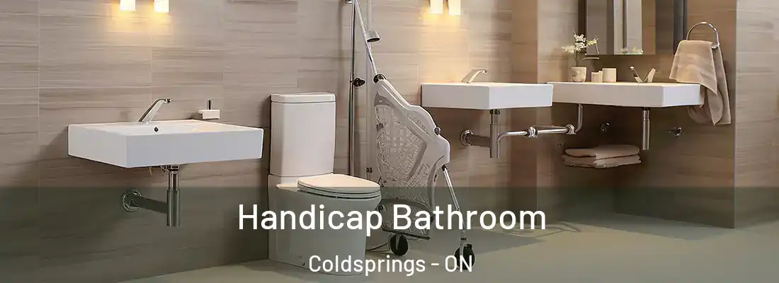  Handicap Bathroom Coldsprings - ON