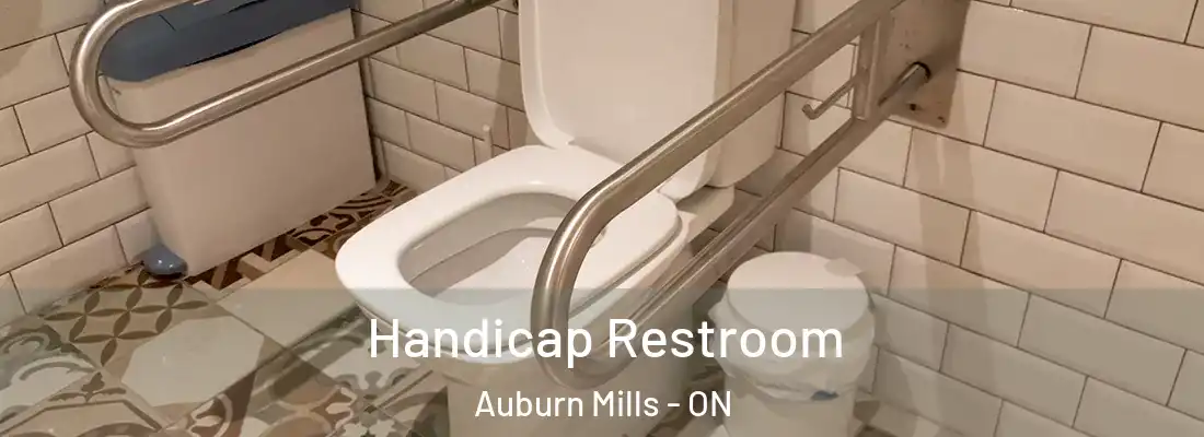  Handicap Restroom Auburn Mills - ON