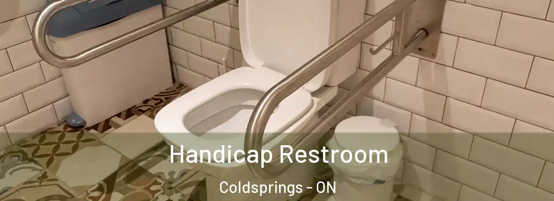  Handicap Restroom Coldsprings - ON