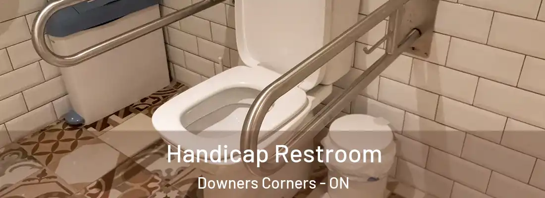  Handicap Restroom Downers Corners - ON