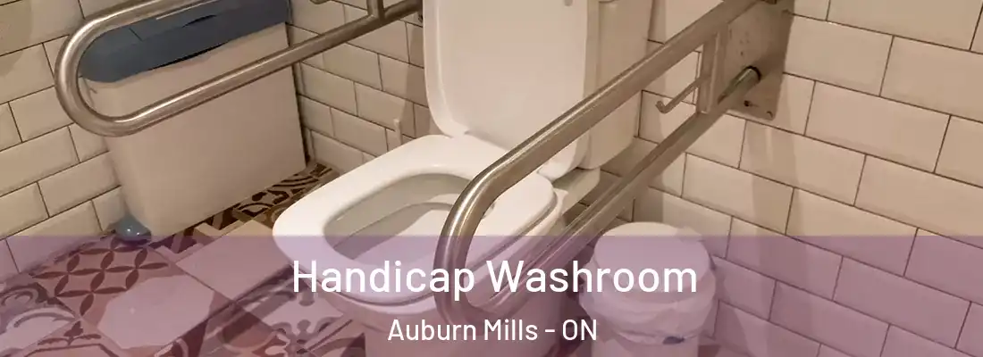  Handicap Washroom Auburn Mills - ON