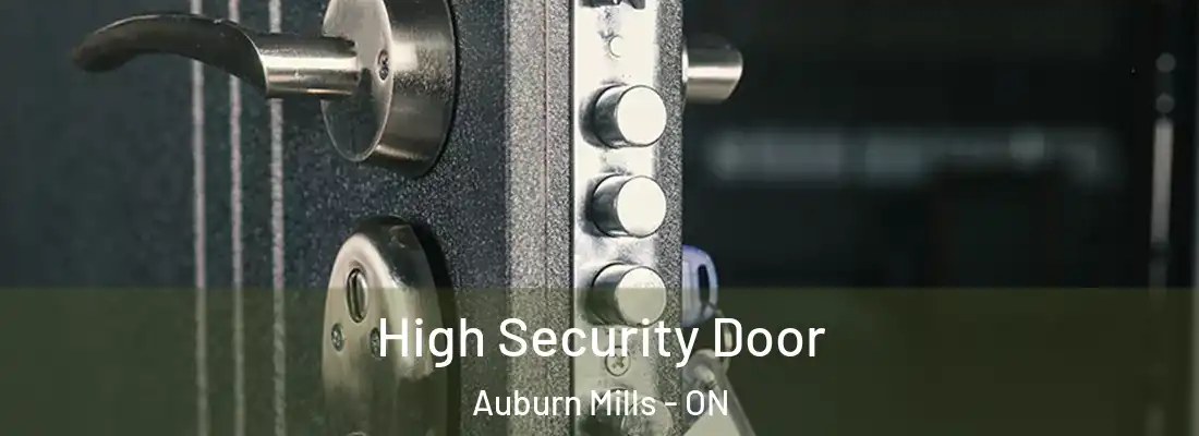  High Security Door Auburn Mills - ON