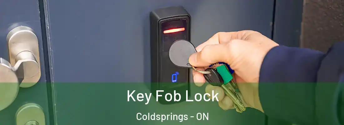  Key Fob Lock Coldsprings - ON