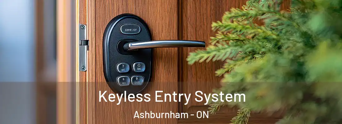  Keyless Entry System Ashburnham - ON