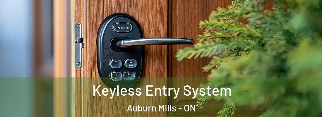  Keyless Entry System Auburn Mills - ON