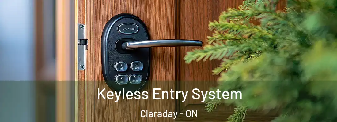  Keyless Entry System Claraday - ON