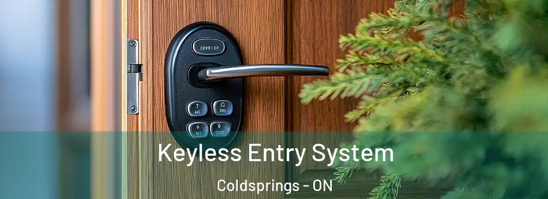  Keyless Entry System Coldsprings - ON