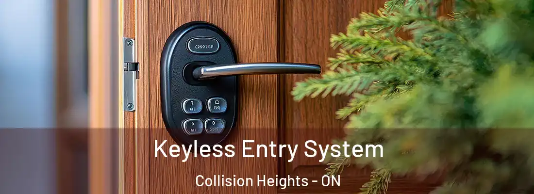  Keyless Entry System Collision Heights - ON