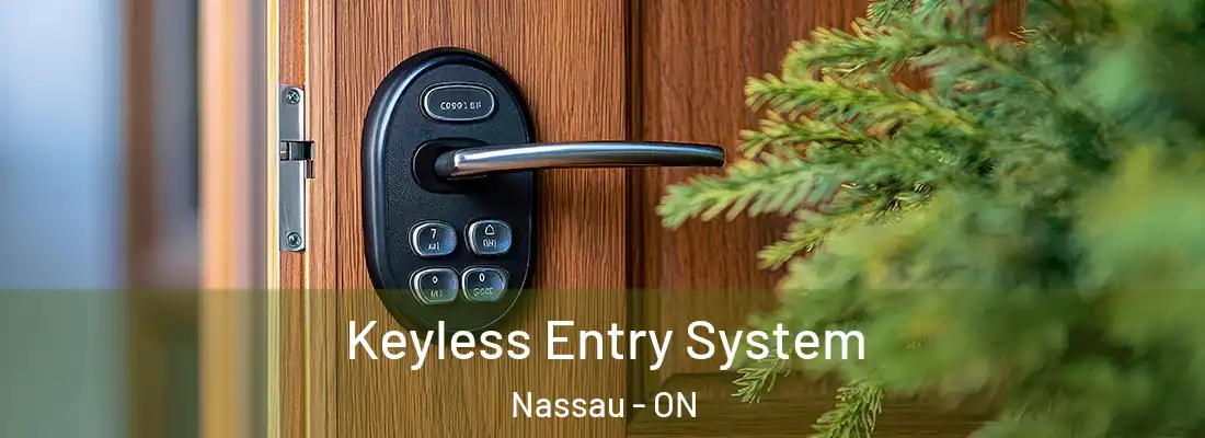  Keyless Entry System Nassau - ON