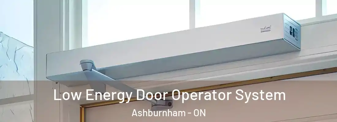  Low Energy Door Operator System Ashburnham - ON