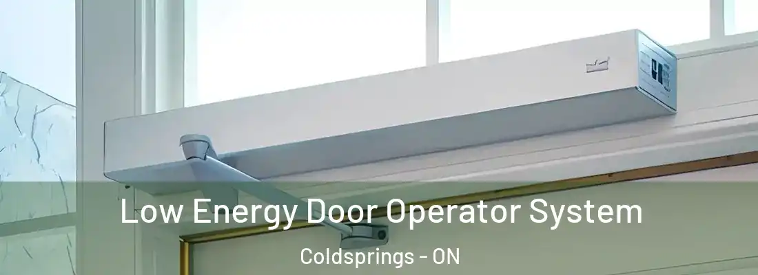  Low Energy Door Operator System Coldsprings - ON
