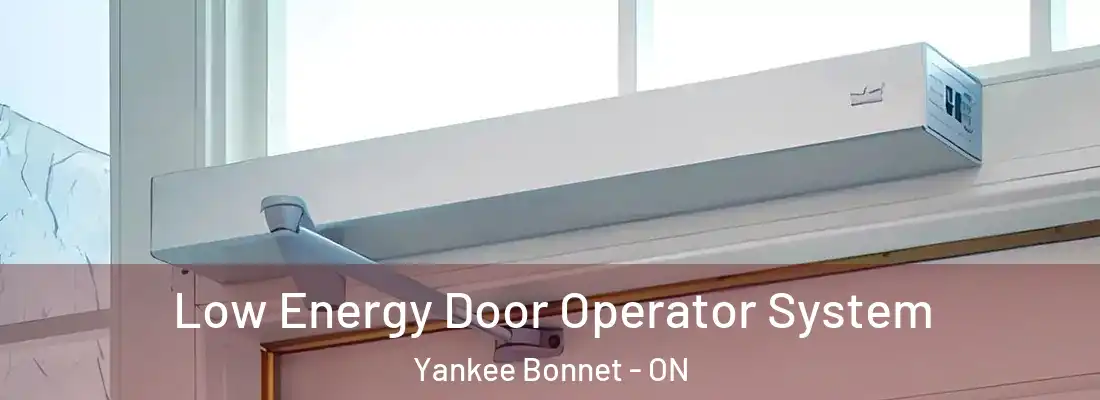  Low Energy Door Operator System Yankee Bonnet - ON