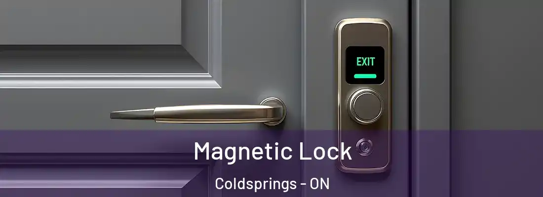  Magnetic Lock Coldsprings - ON