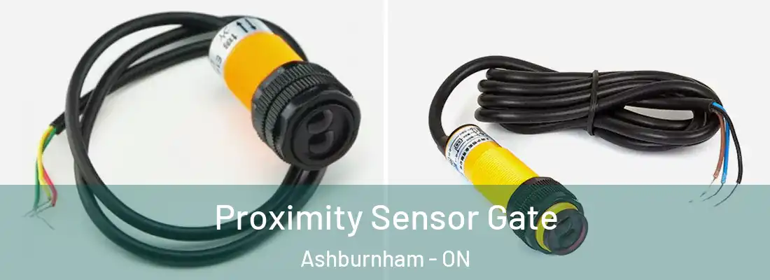  Proximity Sensor Gate Ashburnham - ON