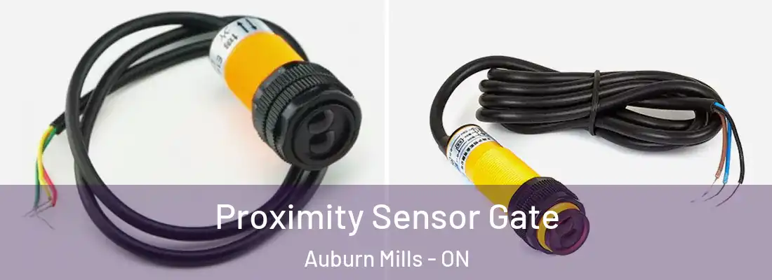  Proximity Sensor Gate Auburn Mills - ON