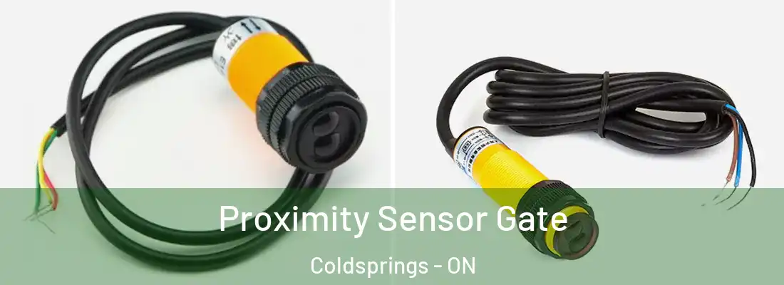  Proximity Sensor Gate Coldsprings - ON