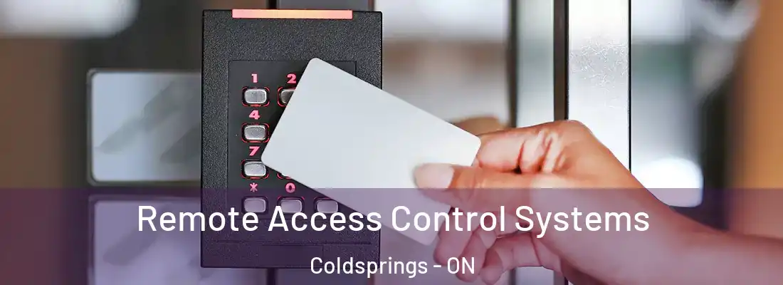  Remote Access Control Systems Coldsprings - ON
