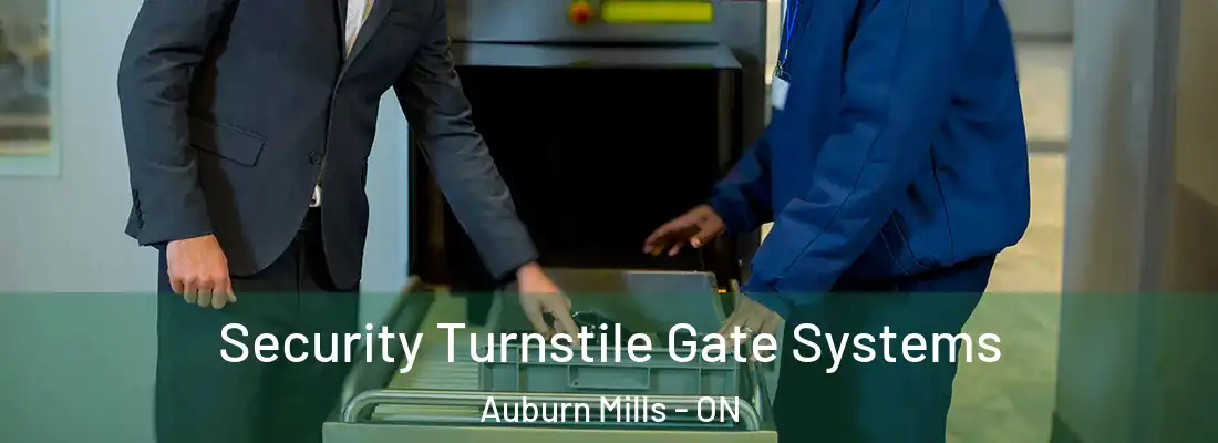  Security Turnstile Gate Systems Auburn Mills - ON
