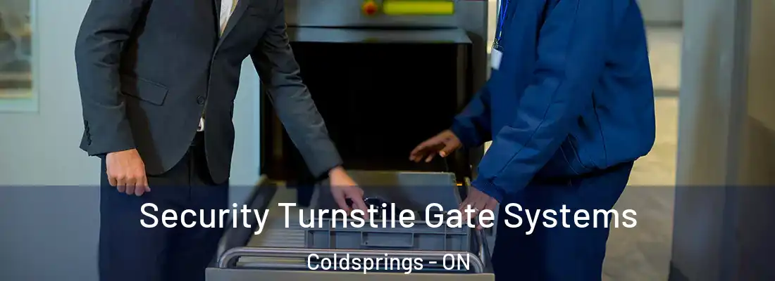  Security Turnstile Gate Systems Coldsprings - ON