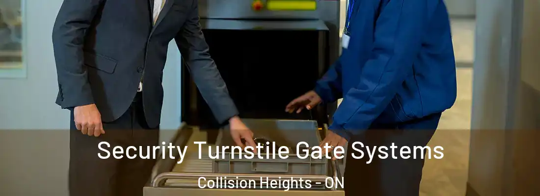  Security Turnstile Gate Systems Collision Heights - ON