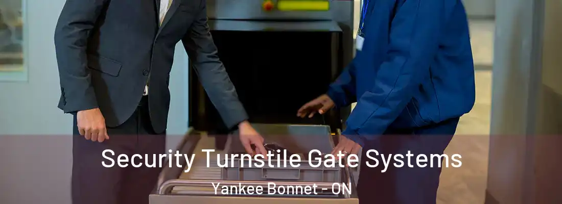  Security Turnstile Gate Systems Yankee Bonnet - ON